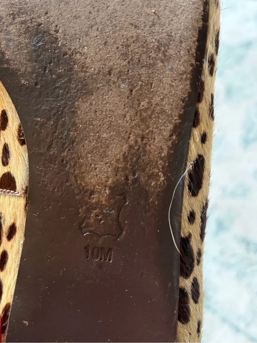Tory Burch Leopard-Print Ballet Flats in Tan and Black with Logo Bow